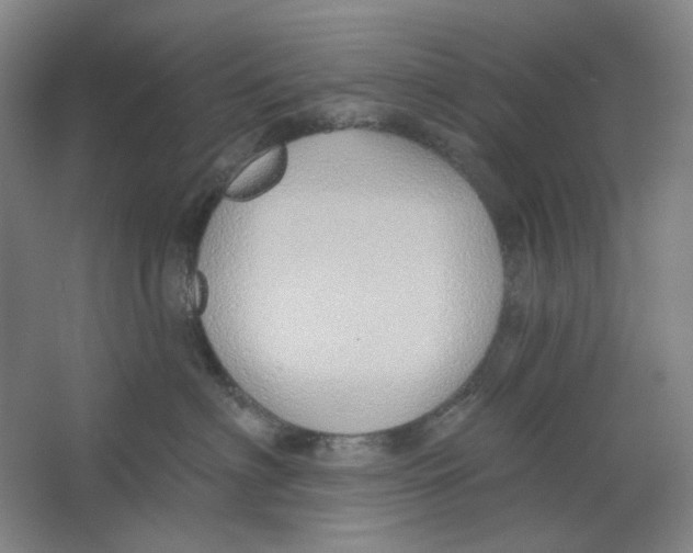 X0000063450622200602101650