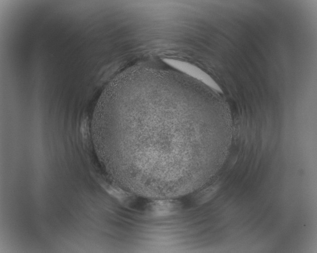 X0000063450623200602101650