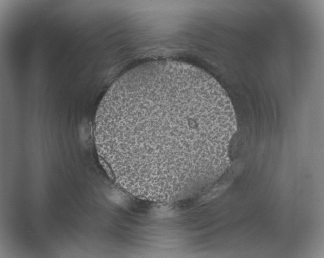 X0000063450624200602101650