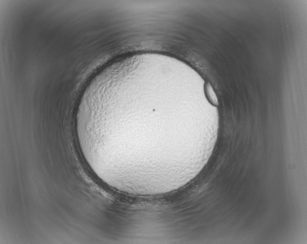 X0000063450625200602101649