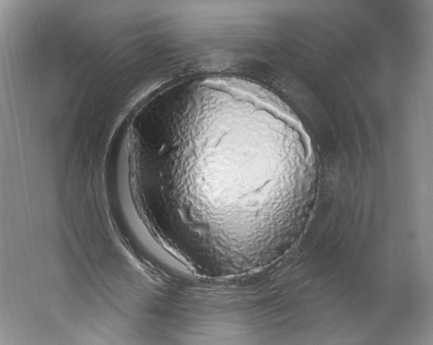 X0000063450626200602101649