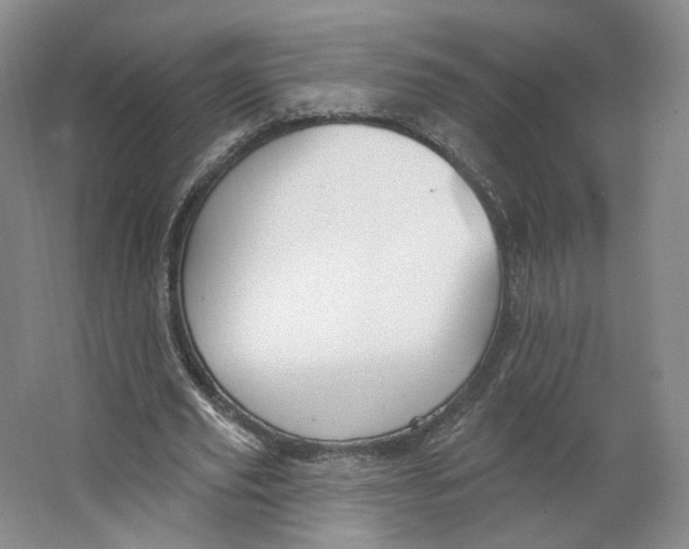 X0000063450629200602101649