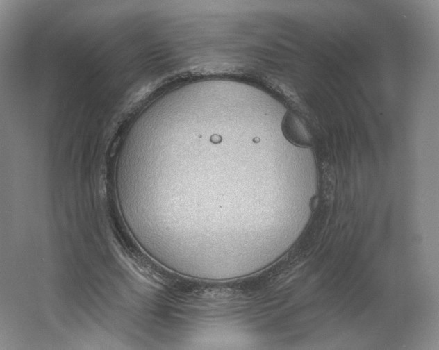 X0000063450631200602101649