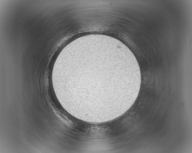 X0000063450632200602101649