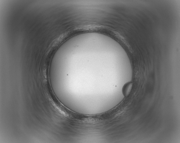 X0000063450633200602101649