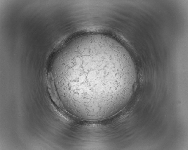 X0000063450637200602101649