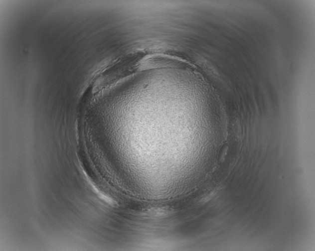 X0000063450638200602101649