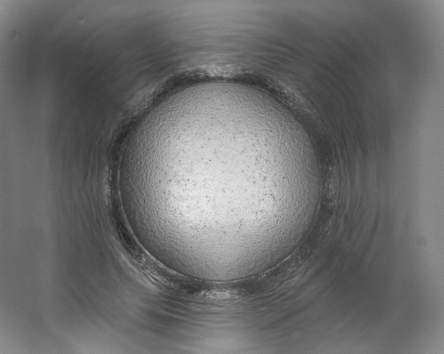 X0000063450639200602101649