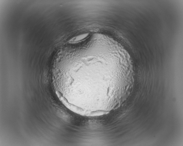 X0000063450641200602101649