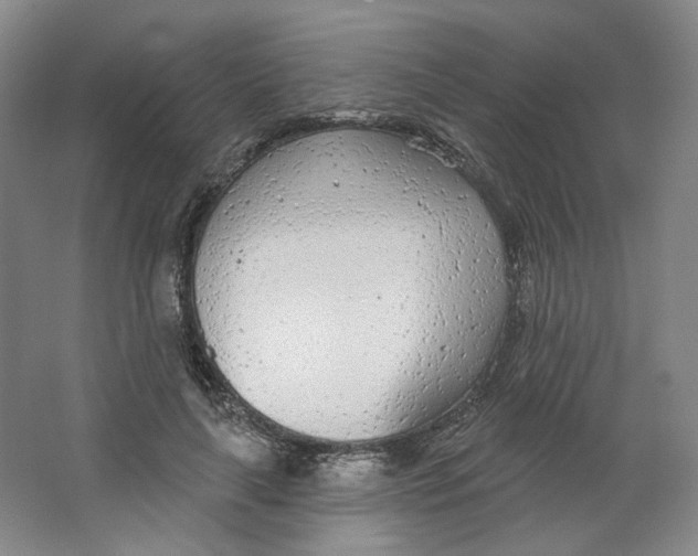 X0000063450643200602101649