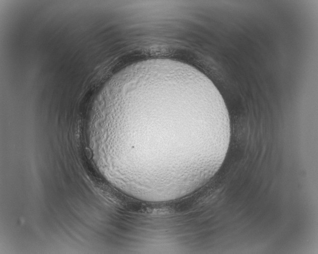 X0000063450645200602101649