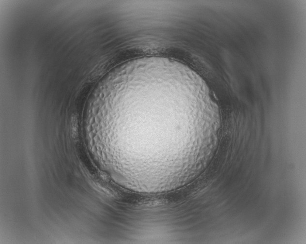 X0000063450646200602101649