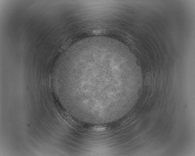 X0000063450651200602101649