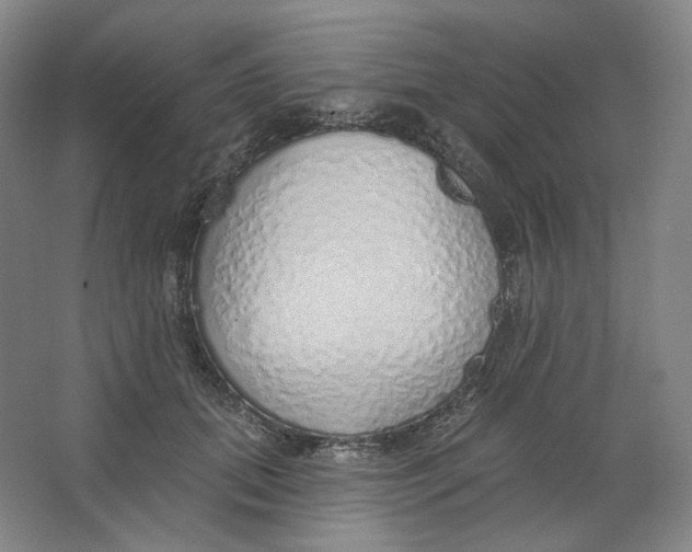 X0000063450655200602101649