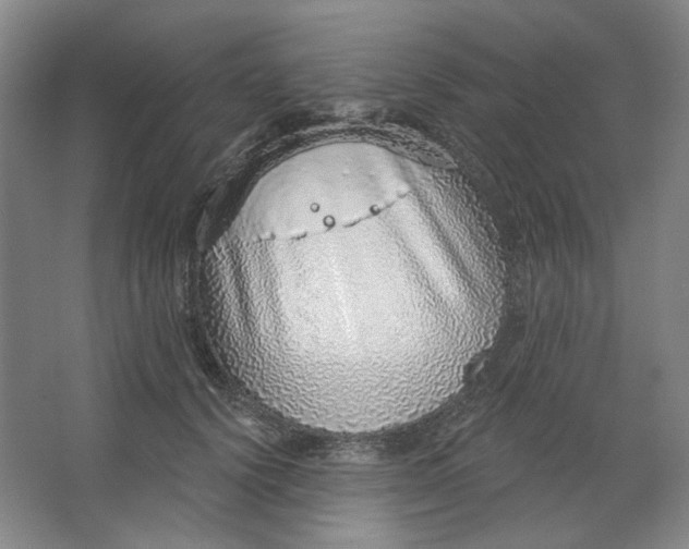 X0000063450656200602101649