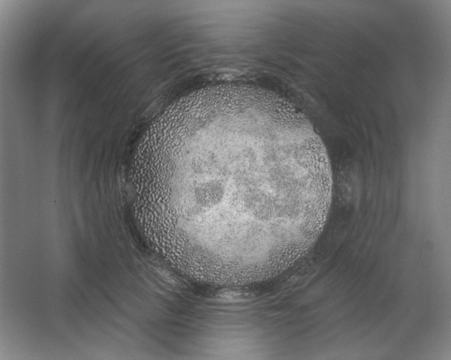 X0000063450657200602101650