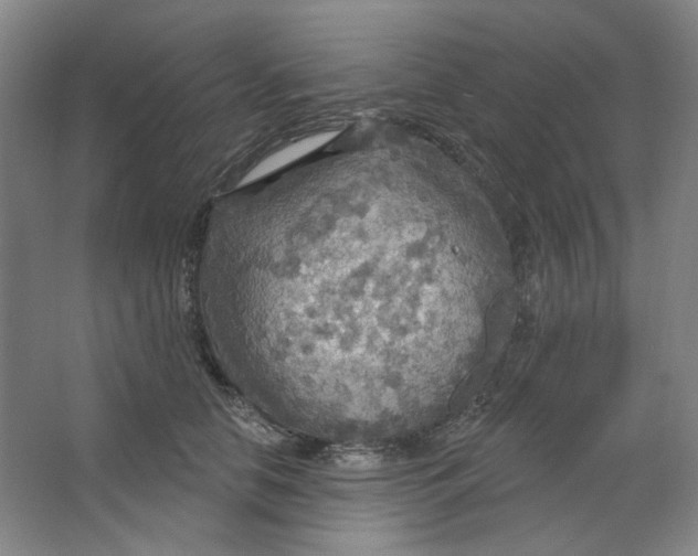 X0000063450658200602101650