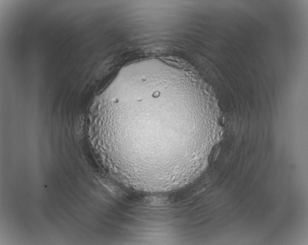 X0000063450660200602101650