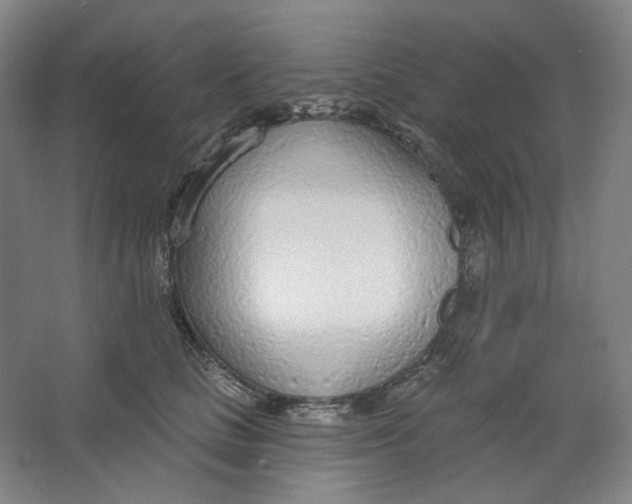 X0000063450661200602101650