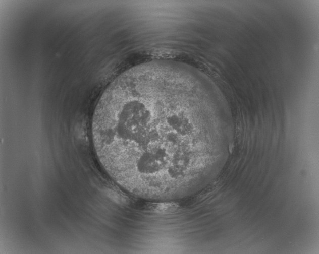 X0000063450663200602101650