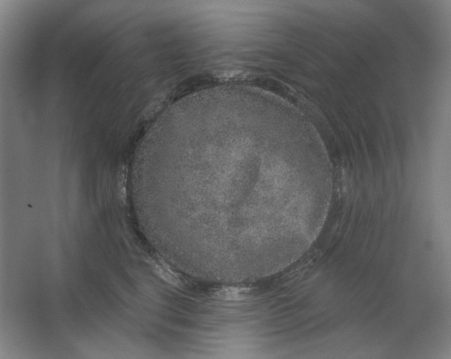 X0000063450664200602101650