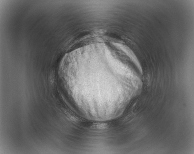 X0000063450665200602101650