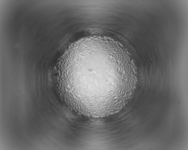 X0000063450667200602101650