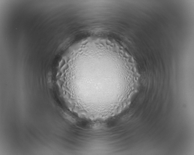 X0000063450670200602101650