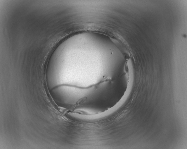 X0000063450673200602101649