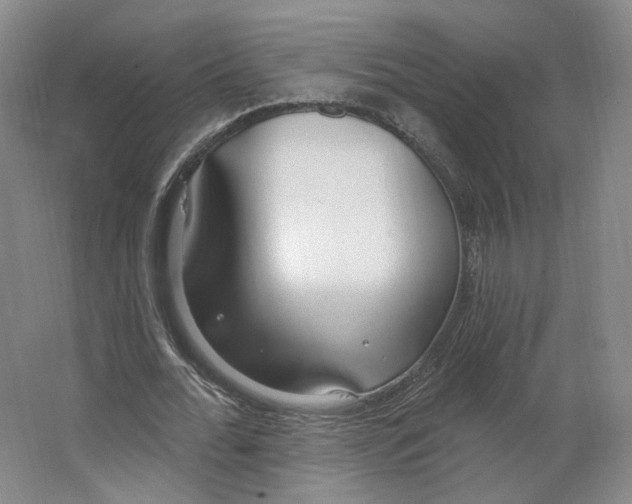 X0000063450676200602101649