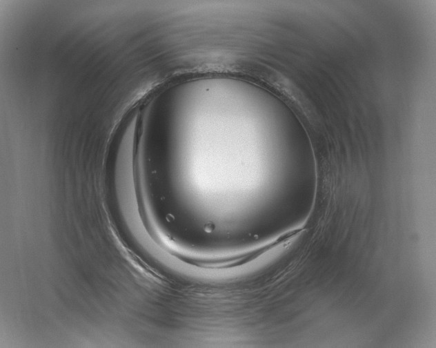 X0000063450677200602101649