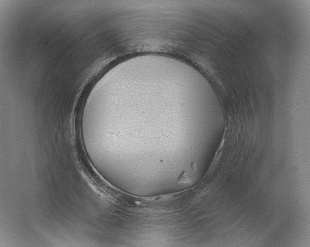 X0000063450678200602101649