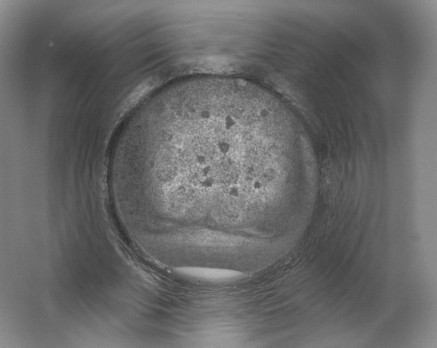 X0000063450679200602101649