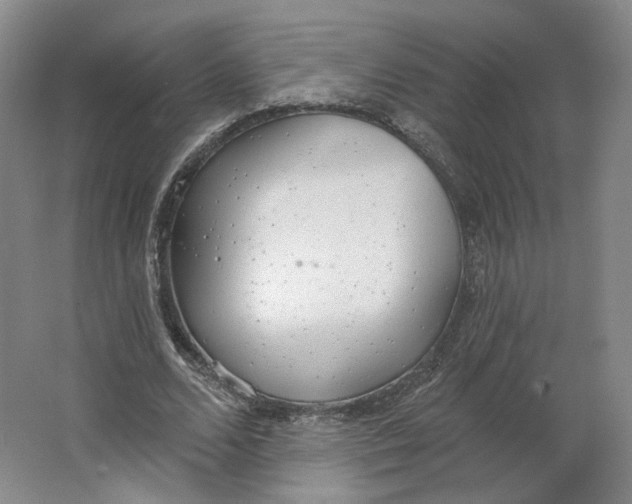 X0000063450680200602101649