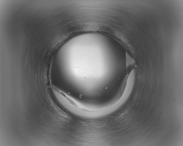 X0000063450681200602101649