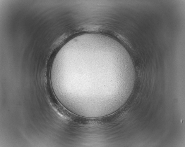 X0000063450682200602101649