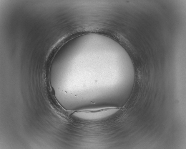 X0000063450684200602101649