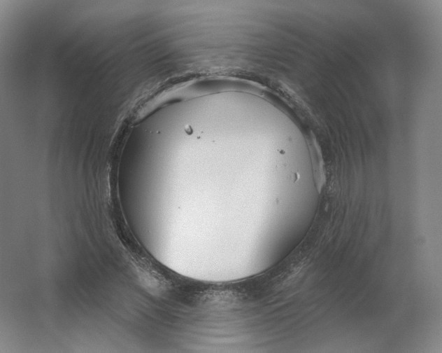 X0000063450685200602101649