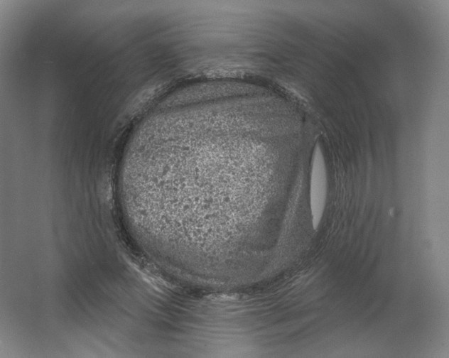 X0000063450687200602101649