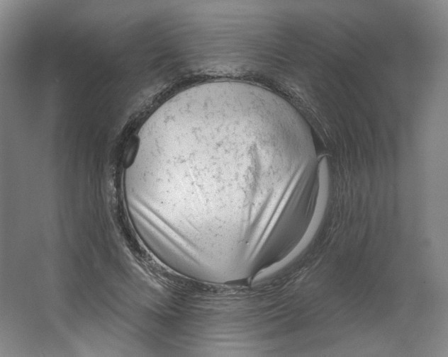 X0000063450688200602101649