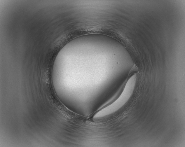 X0000063450689200602101649