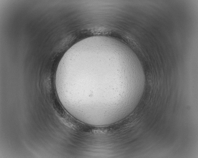 X0000063450690200602101649