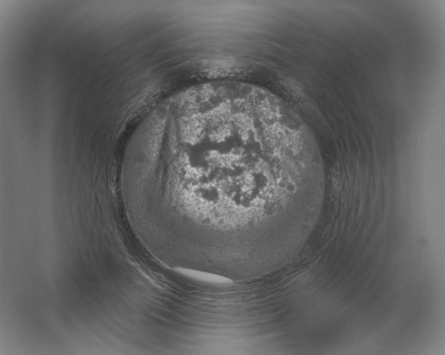 X0000063450691200602101649