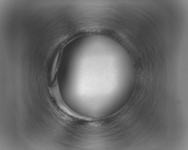 X0000063450692200602101649