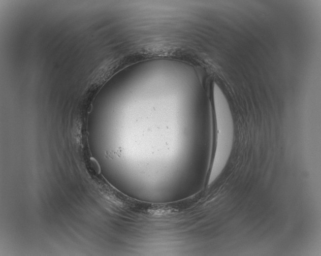 X0000063450693200602101649