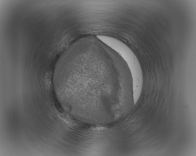 X0000063450695200602101649