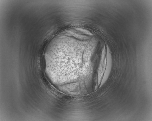 X0000063450696200602101649