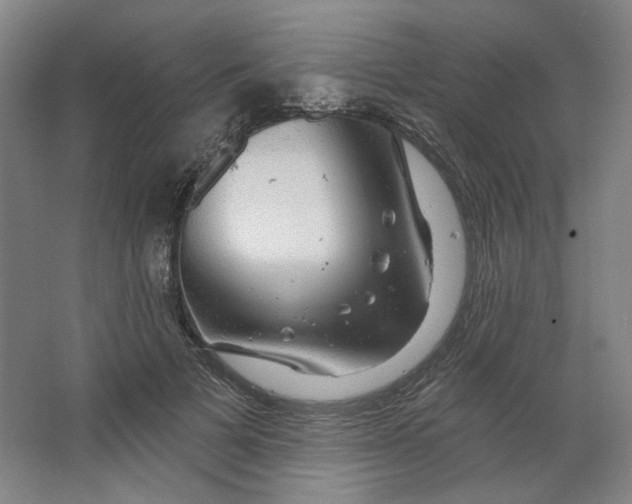 X0000063450697200602101649