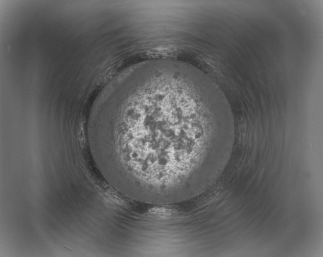 X0000063450699200602101649