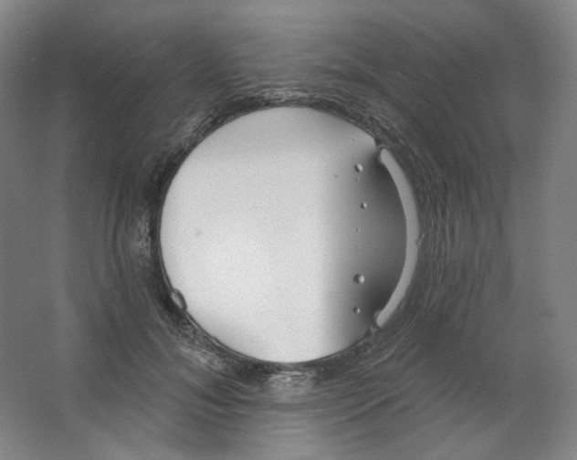 X0000063450700200602101648